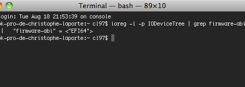 Terminal_—_bash_—_89×10-20090819-101628